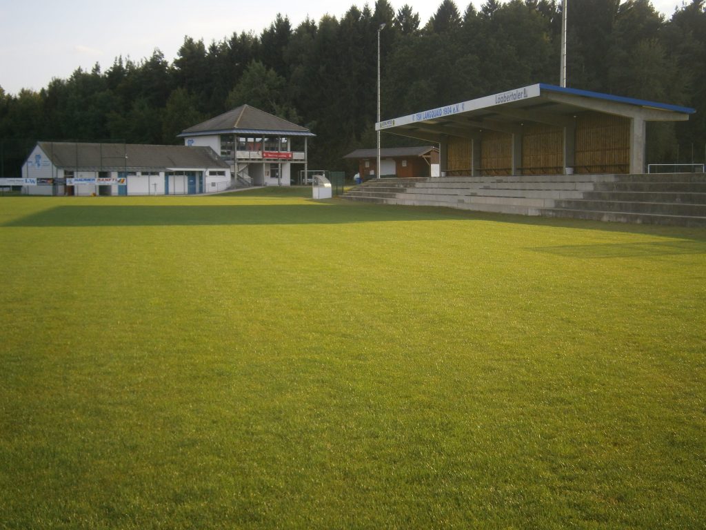 Waldstadion